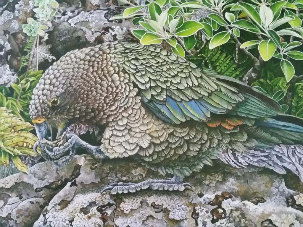 Kea Cottage Te Anau Eksteriør bilde
